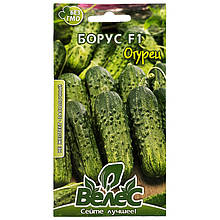 Насіння огірка середньораннього, польського "Борус" F1 (0,5 г) від ТМ "Велес", Україна