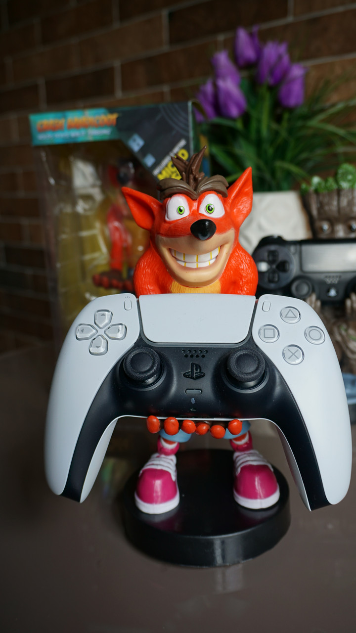 Crash bandicoot controller switch sale