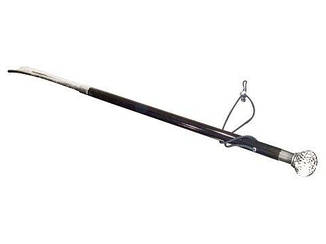 Walking Sticks CSWS29L