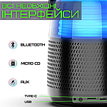 Портативна МініКаоке Система Для Дому Блютуз Колонка з LED-підсвіткою і функцією Зміни Голосу В1 Чорна, фото 8