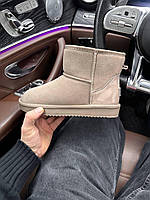 Женские стильные угги Mini Light Beige Lacquer (бежевые) модная зимняя обувь 5860-16 Угги 38 топ
