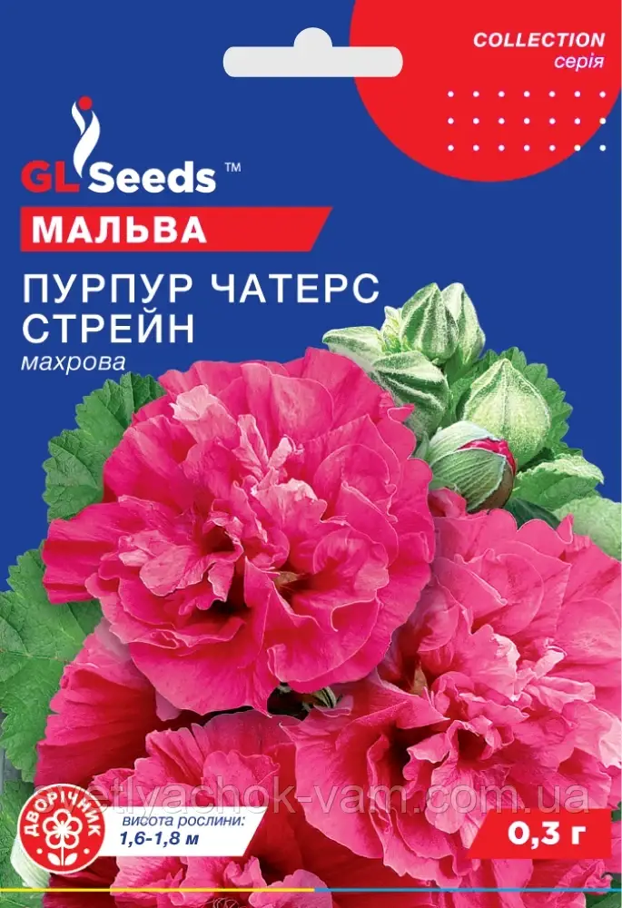 Мальва Чатерз Стрейн Пурпур дворічна з великими оксамитовими квітками, паковання 0,3 г