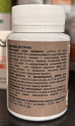 Трутовик Фунгодоктор, 60 капсул по 100 мг, фото 3