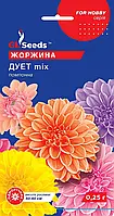 Георгіна Дует помпонна дуже ефективна суміш оригінальної форми суцвіть, паковання 0,25 г