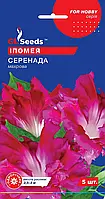 Ипомея Серенада уникальный сорт императорской лианы с экзотическими цветками, упаковка 5 шт