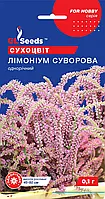 Лимоніум Суворова сухоцвіт із колоноподібними суцвіттями чудовий невибагливий, паковання 0,1 г
