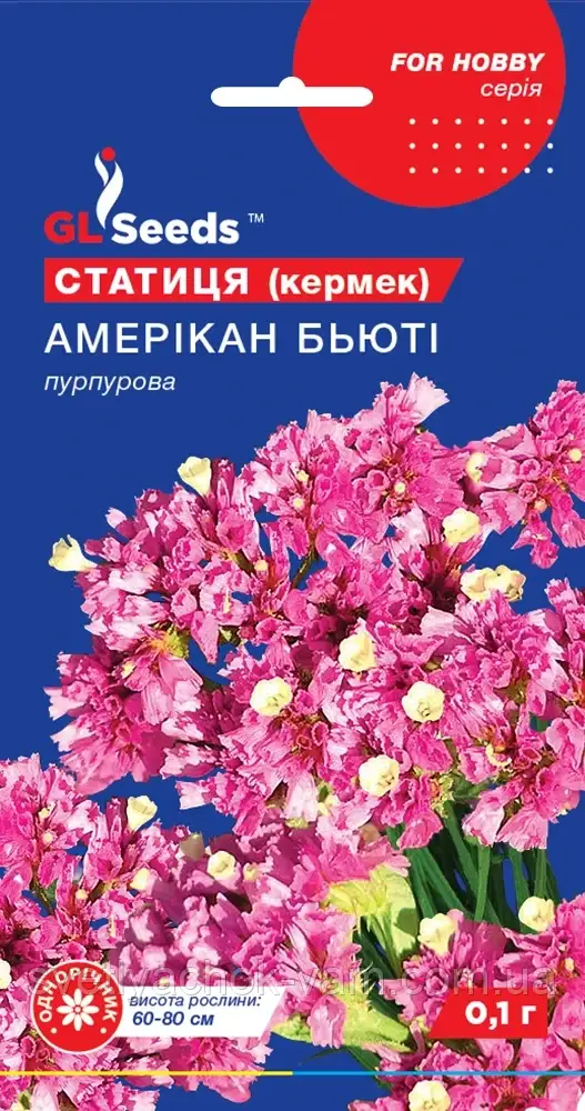 Статиця Американ Б'юті найпопулярніший сухоцвіт чудова рослина заввишки 60-80 см, паковання 0,1 г