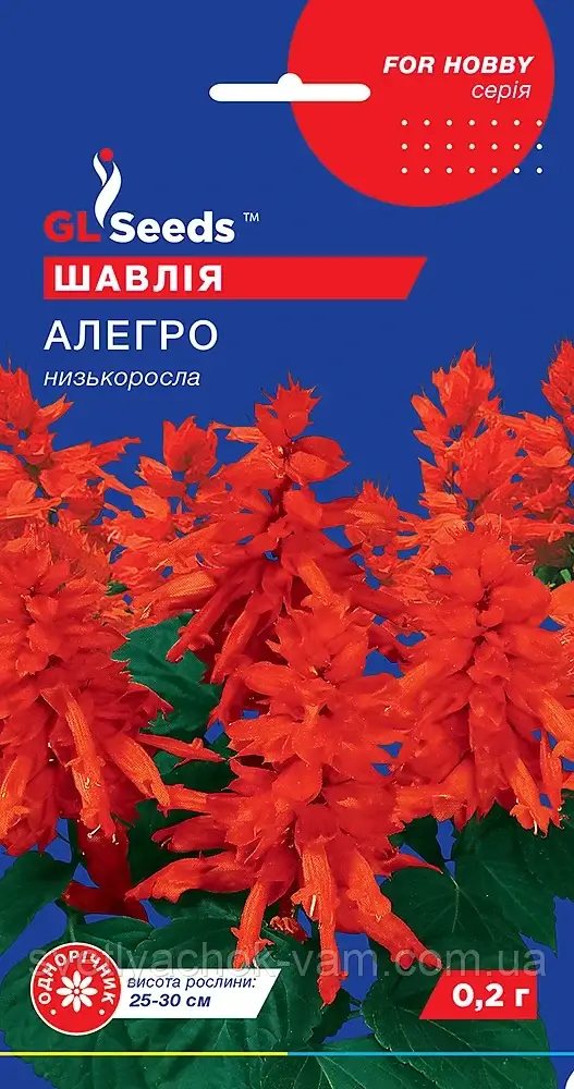 Сальвія Алегро яскраві плями цих надзвичайно ефектних квітів прикрасять Ваш сад, упаковка 0,1 г