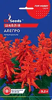 Сальвия Аллегро яркие пятна этих необыкновенно эффектных цветов украсят Ваш сад, упаковка 0,1 г