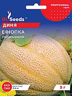 Диня Ефіопка середньорання великоплідна лежкая соковита солодка, дуже смачна, упаковка 5 г