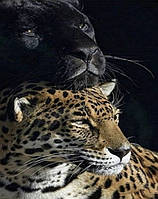 Набір для творчості алмазна картина Пантера та леопард Strateg розміром 30х40 см кв (HEG86057)