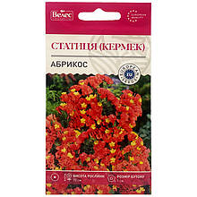 Насіння кермеку (статиці) "Абрикос" (0,2 г) від ТМ "Велес", Україна