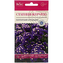 Насіння кермеку (статиці) "Пурпурний атракціон" (0,2 г) від ТМ "Велес", Україна