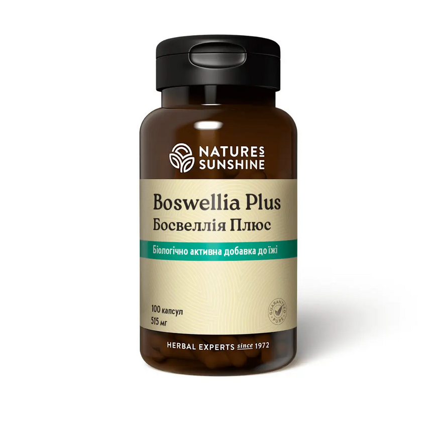 Босвелія Плюс 100 капсул, Boswellia Plus, NSP