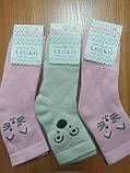 Шкарпетки дитячі махрові з малюнком "Legko Exclusive" р. 22, фото 2