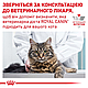 Сухий корм Royal Canin Mature consult (Роял Канін Матуре Консалт) для котів років без ознак старіння 1.5 КГ, фото 3