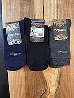 Мужские демисезонные носки "Elite" темное ассорти р.25,27,29 'Версаль "