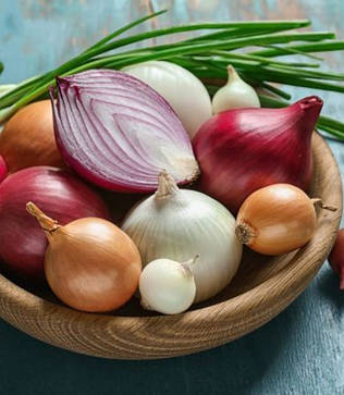 Лук