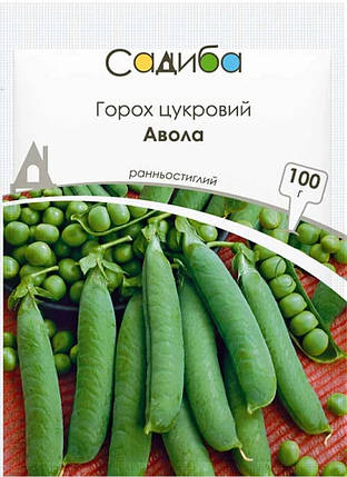 Насіння гороху цукрового Авола 100 г, Satimex, фото 1