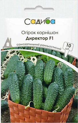 Насіння огірків Директор F1, 10 шт, Nunhems Zaden, фото 1