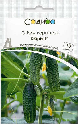 Насіння огірків Кібрія F1 10 шт, Rijk Zwaan, фото 1
