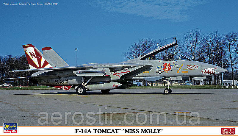 F-14A TOMCAT 'Miss Molly' 1/72 HASEGAWA 02123