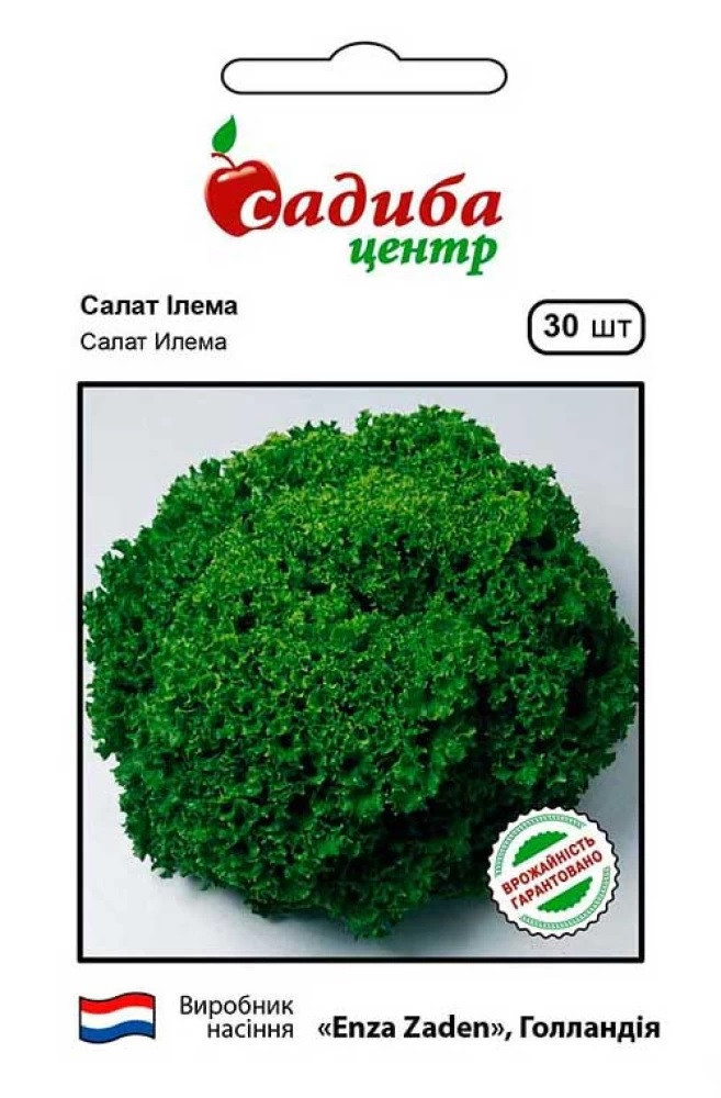 Насіння салату Ілема 30 шт, Enza Zaden