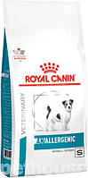 Сухой лечебный корм Royal Canin Anallergenic Small Dog для собак малых пород при пищевой аллергии, 1.5 кг