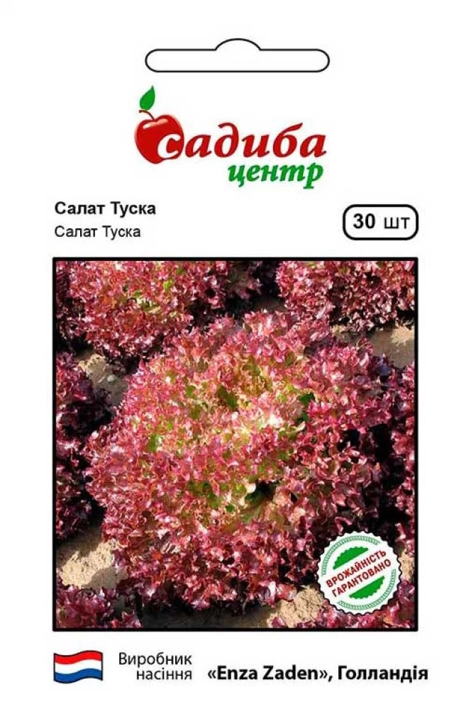 Насіння салату листового Туска 30 шт, Enza Zaden
