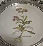 Порцелянова тарілка в олов'яній рамі, фото 2