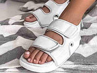 Шлепанцы унисекс Adidas Adilette Sandal Light Grey