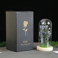 Гіпсофіла в колбі Lesko KY-262 Purple з LED-підсвіткою світлодіодний нічник шт., фото 5