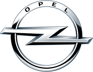 EVA килимки в салон для Opel (Опель)