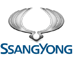 EVA килимки в салон для Ssang Yong (Санг йонг)