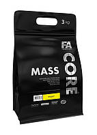 Fitness Authority Core Mass 3000g