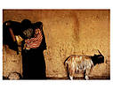 Книги з фотографії Harry Gruyaert: Morocco Фотоальбоми відомих фотографів Гаррі Груєр: Марокко, фото 8
