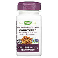 Кордицепс, 500 мг, Cordyceps, Nature's Way, 60 вегетарианских капсул