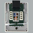 Розетка 1-портова RJ45 кат.5e біла (KDWP6034) Kingda (код 136158), фото 4
