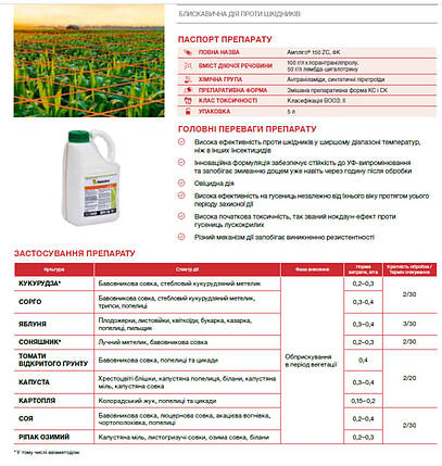 Інсектицид Ампліго, 100 мл, Syngenta (Сінгента), фото 3