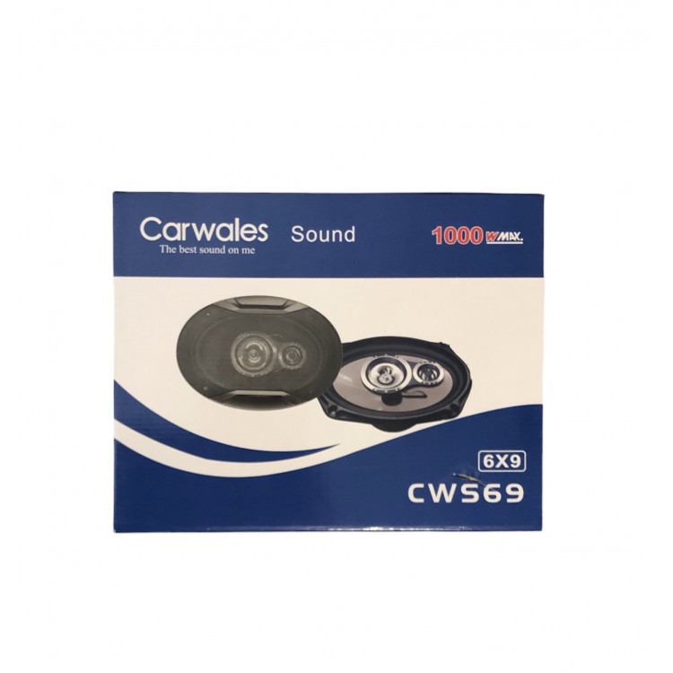 Динаміки овальні автомобільні CWS69 Carwales Sound 6*9 автоакустика
