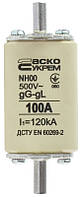 Запобіжник NH00 100A gG