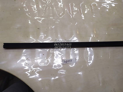 Молдинг скла (внутрішній) двері задньої правої Mitsubishi Space Star (1998 - 2004) 000046677