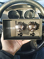 Автомобильный Ароматизатор набор в авто из 2 Питбулей Pitbull black