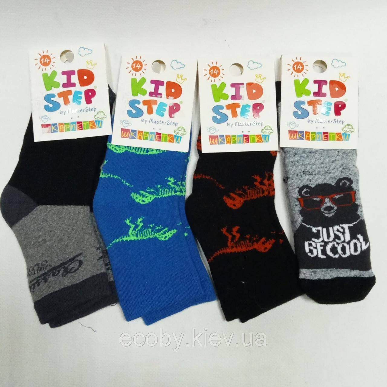 Дитячі шкарпетки  тм Kid Step, розміри 23 - 25, махрові