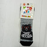 Дитячі шкарпетки  тм Kid Step, розміри 23 - 25, махрові, фото 4