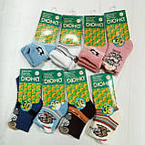 Дитячі шкарпетки  тм Duna, розміри 8-10, 10-12, 12-14, махрові., фото 2