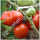 Томат Томат Товстий Джек 0.1 г GL Seeds, фото 2