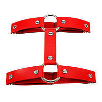 Красный гартер на одну ногу Садо-мазо