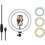 Кільцева лампа для фото світлокомплект 30, Професійна кільцева лампа для трансляцій PH-64, фото 2