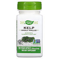 Витамины и минералы Nature's Way Kelp, 100 вегакапсул